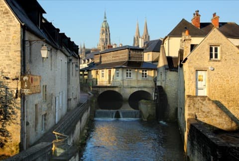 Élagueur Bayeux