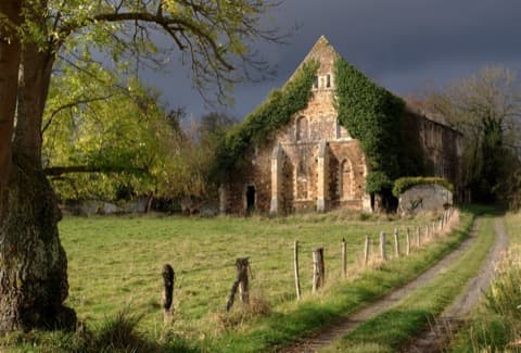 Élagueur Bretteville-sur-Laize