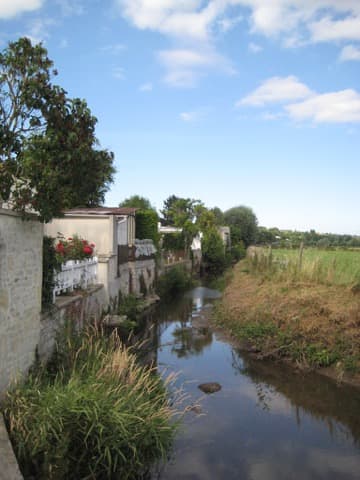 Élagueur Bretteville-sur-Odon