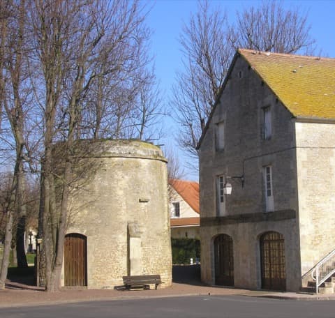 Élagueur Cambes-en-Plaine