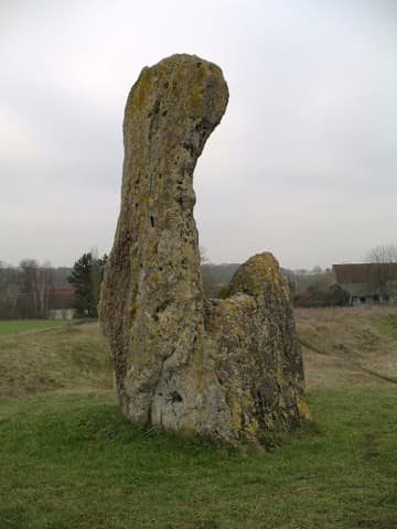Élagueur Condé-sur-Ifs