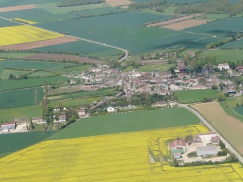 Élagueur Courcy