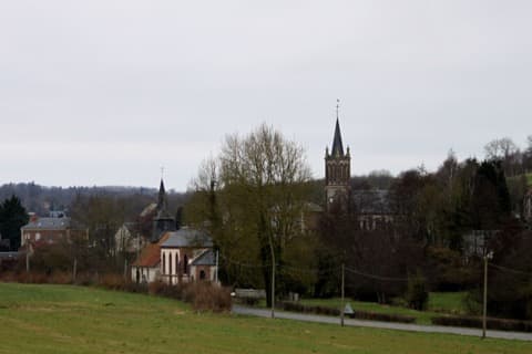Élagueur Courtonne-les-Deux-Églises