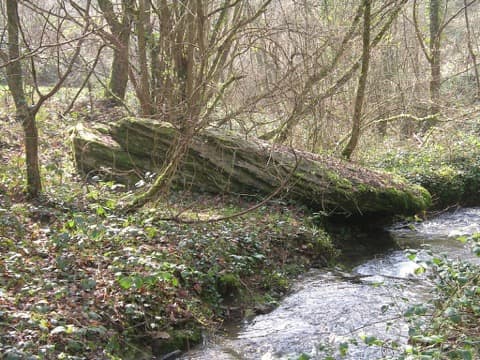 Élagueur Culey-le-Patry