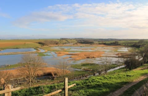 Élagueur Graye-sur-Mer