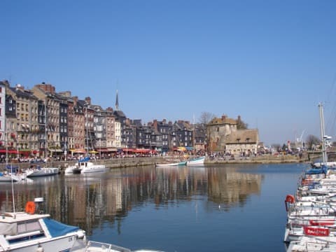 Élagueur Honfleur