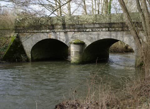 Élagueur Les Isles-Bardel