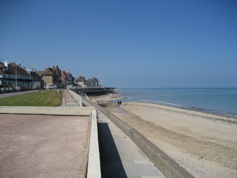Élagueur Lion-sur-Mer