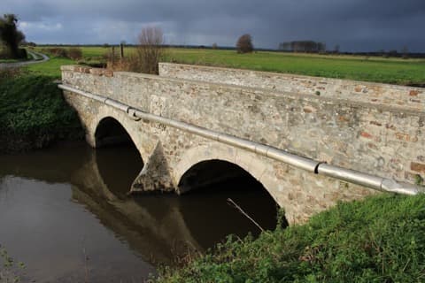 Élagueur Lison