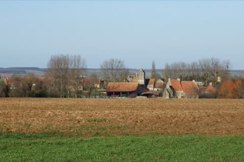 Élagueur Pertheville-Ners