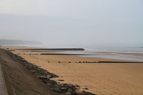 Élagueur Saint-Laurent-sur-Mer