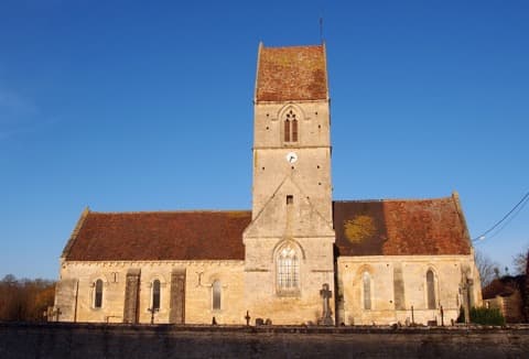 Élagueur Sassy