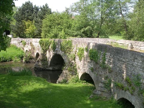 Élagueur Tilly-sur-Seulles