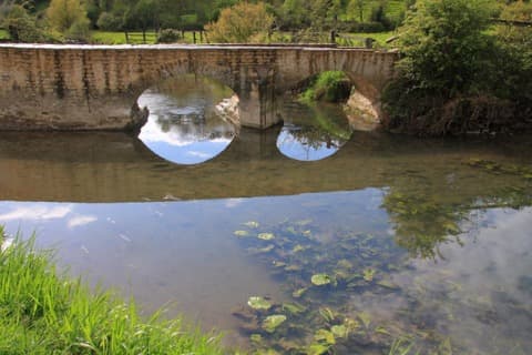 Élagueur Trévières