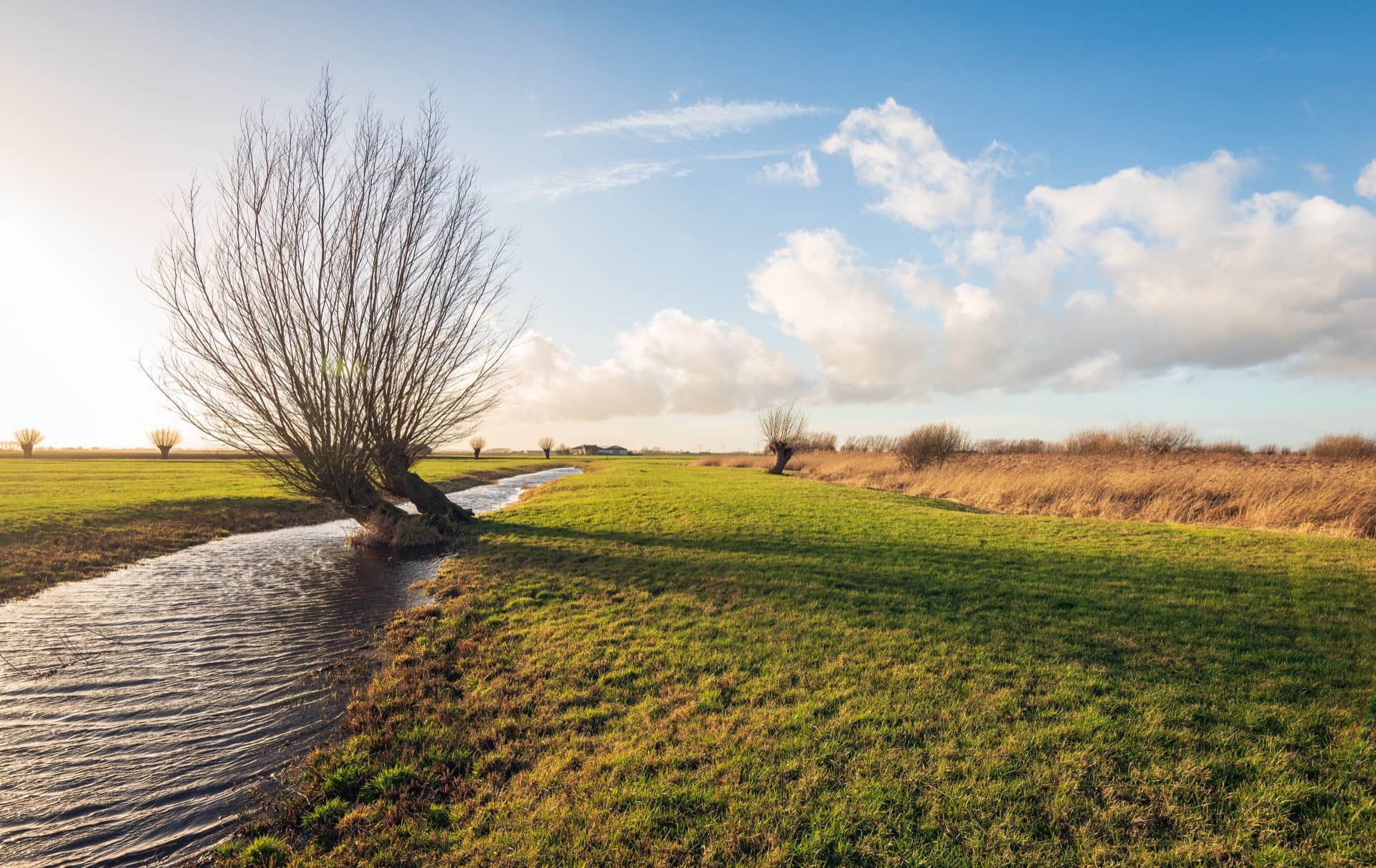 Élagage & Étêtage 14 Calvados