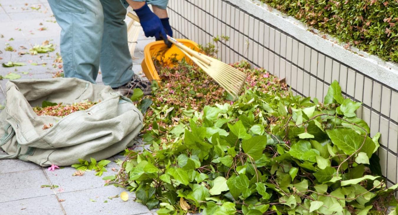 Entretien de Parcs & Jardins 14 Calvados