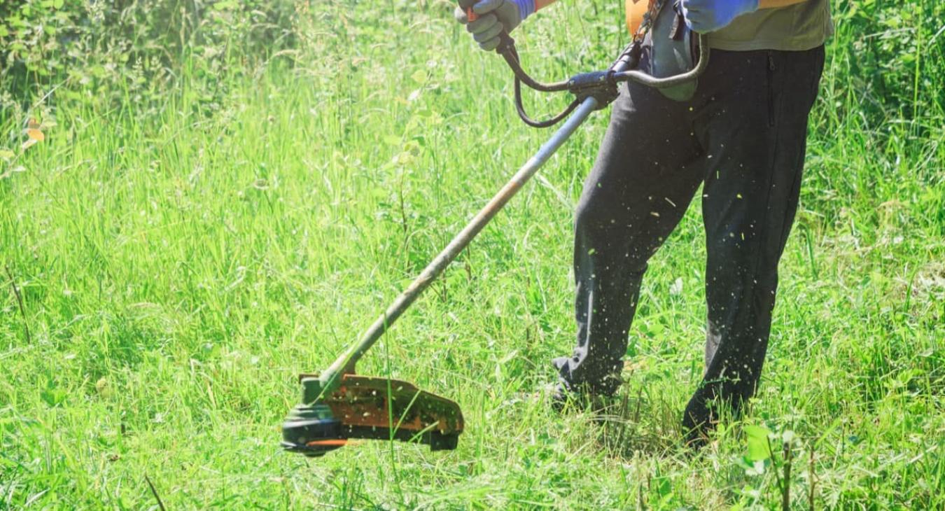 Taille de haies & Débroussaillage 14 Calvados